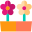 flowers (1)