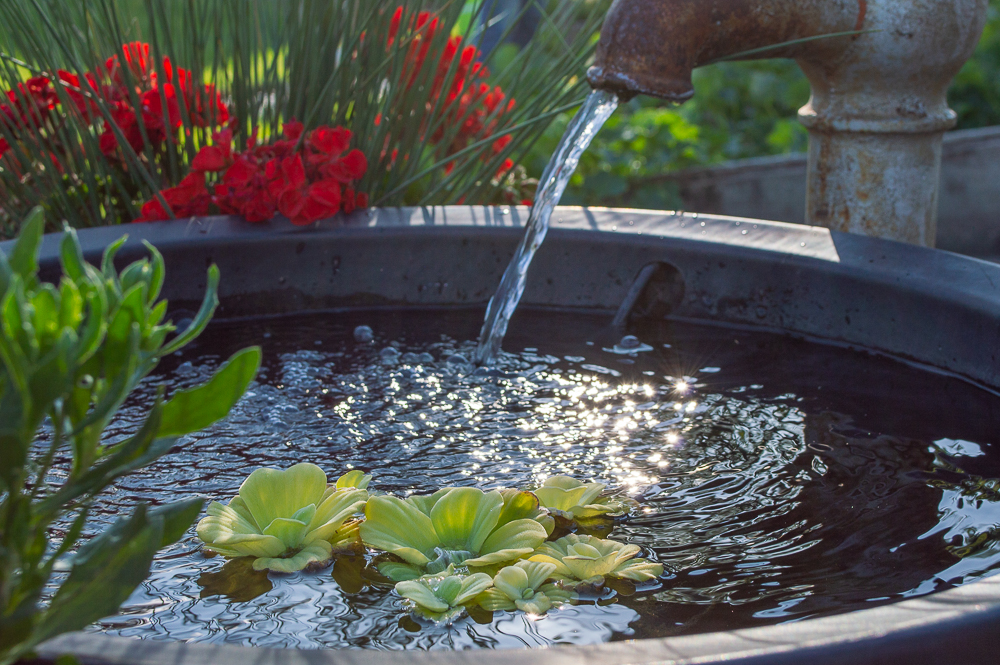 Medary Acres | Greenhouse in Brookings, South Dakota